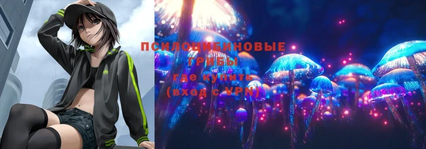 прущие грибы Бородино