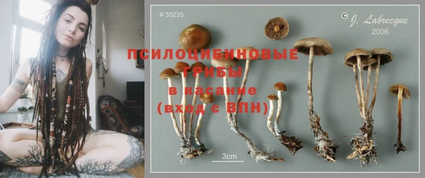 стафф Бугульма