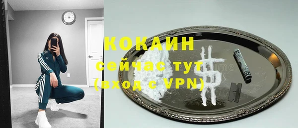прущие грибы Бородино