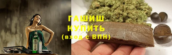 прущие грибы Бородино
