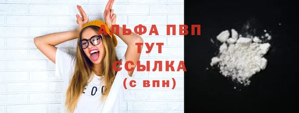 прущие грибы Бородино