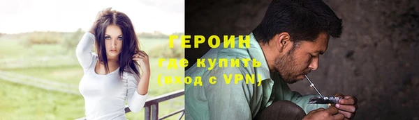 прущие грибы Бородино