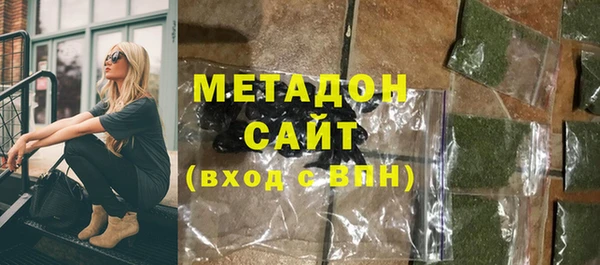 прущие грибы Бородино