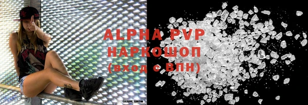 прущие грибы Бородино