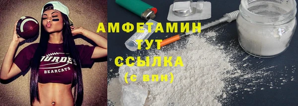 прущие грибы Бородино