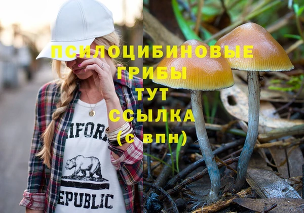 2c-b Усолье-Сибирское
