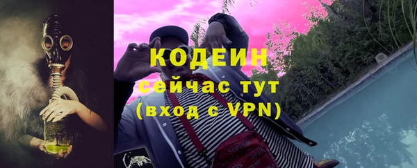 прущие грибы Бородино