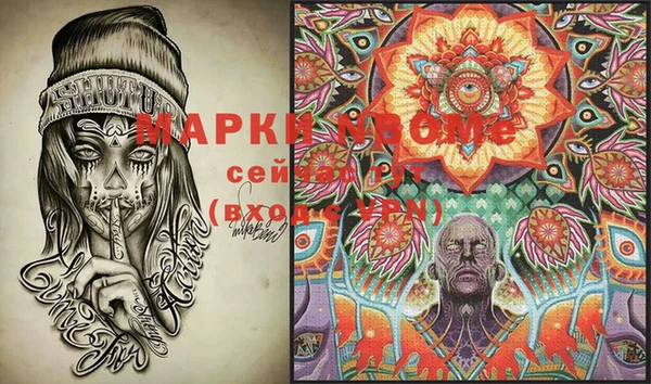 прущие грибы Бородино