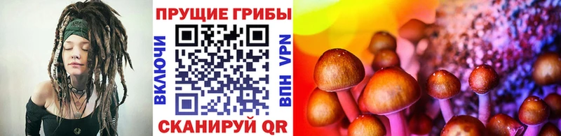 ссылка на мегу зеркало дарк нет Telegram Галлюциногенные грибы мицелий Крым